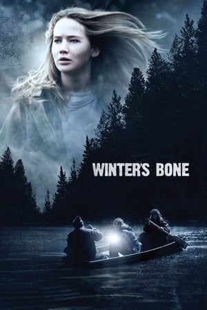 Winter's Bone en streaming