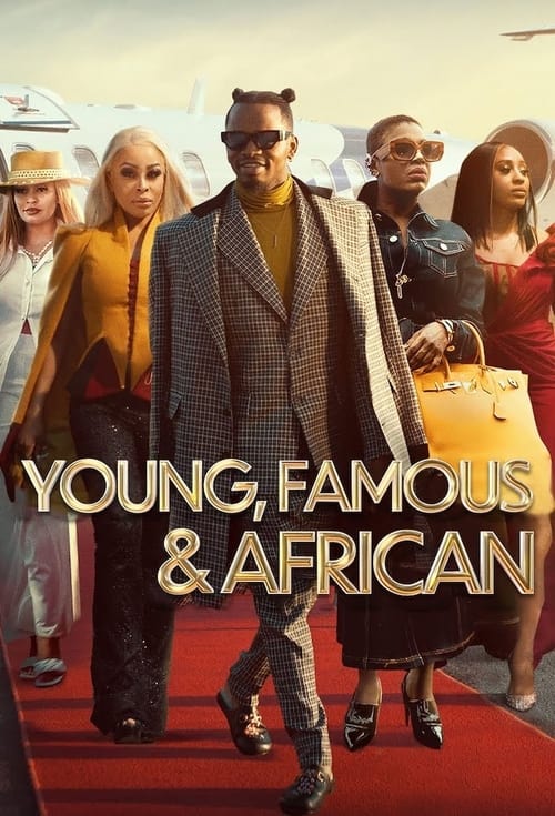 Young, Famous & African - Saison 1 en streaming