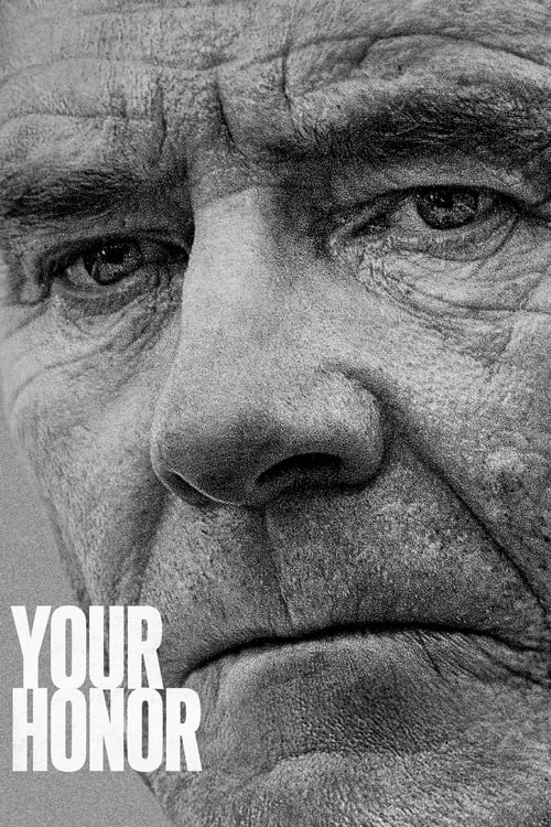 Your Honor - Saison 1 épisode 10 en streaming