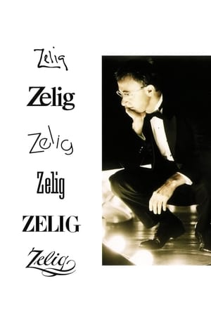 Zelig en streaming